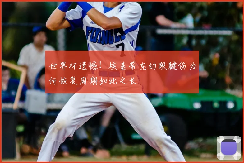 世界杯遗憾！埃基蒂克的跟腱伤为何恢复周期如此之长