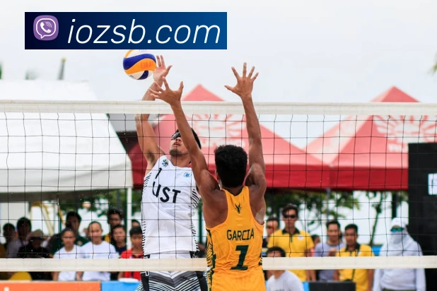 平台展示图